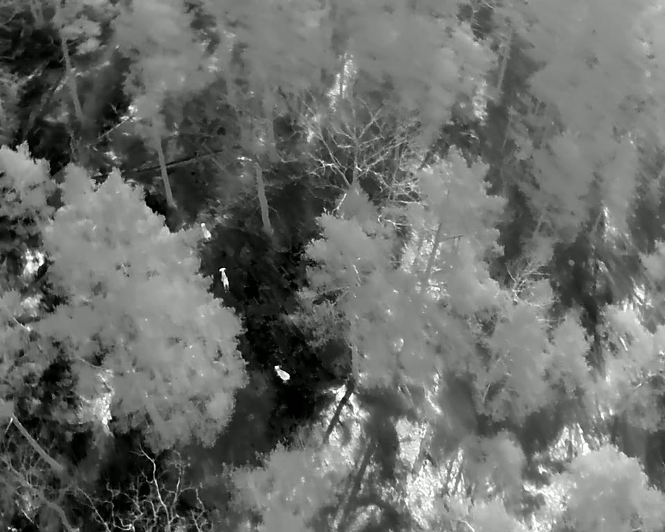 Termisk flygbild från en nattflygning över skogsterräng