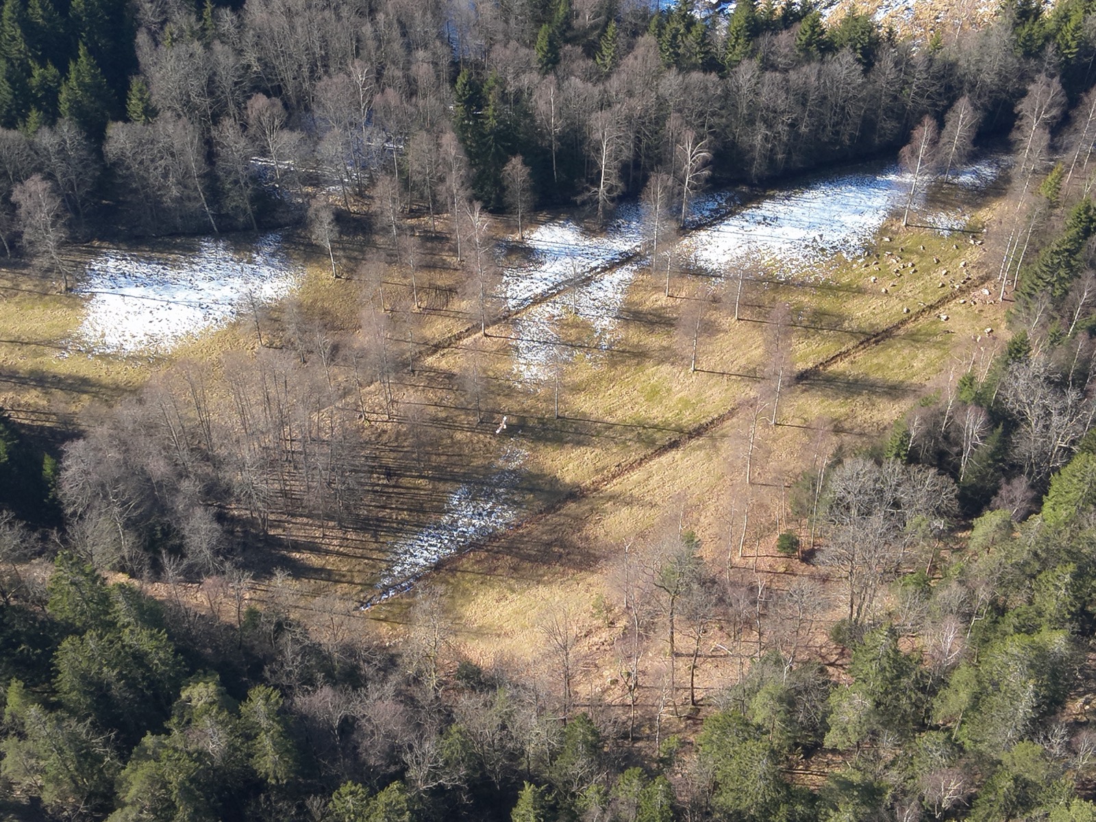 Flygfoto från en älginventering över snöfläckad vinterterräng